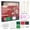 A, variant on Complete Polymer Clay Earring Kit for Adults DIY Jewelry Making Set Non Baking Air Dry Crafting Tools Fashion Accessories Design Project Stress Relief Creative Hobby Gift for Her Bundle