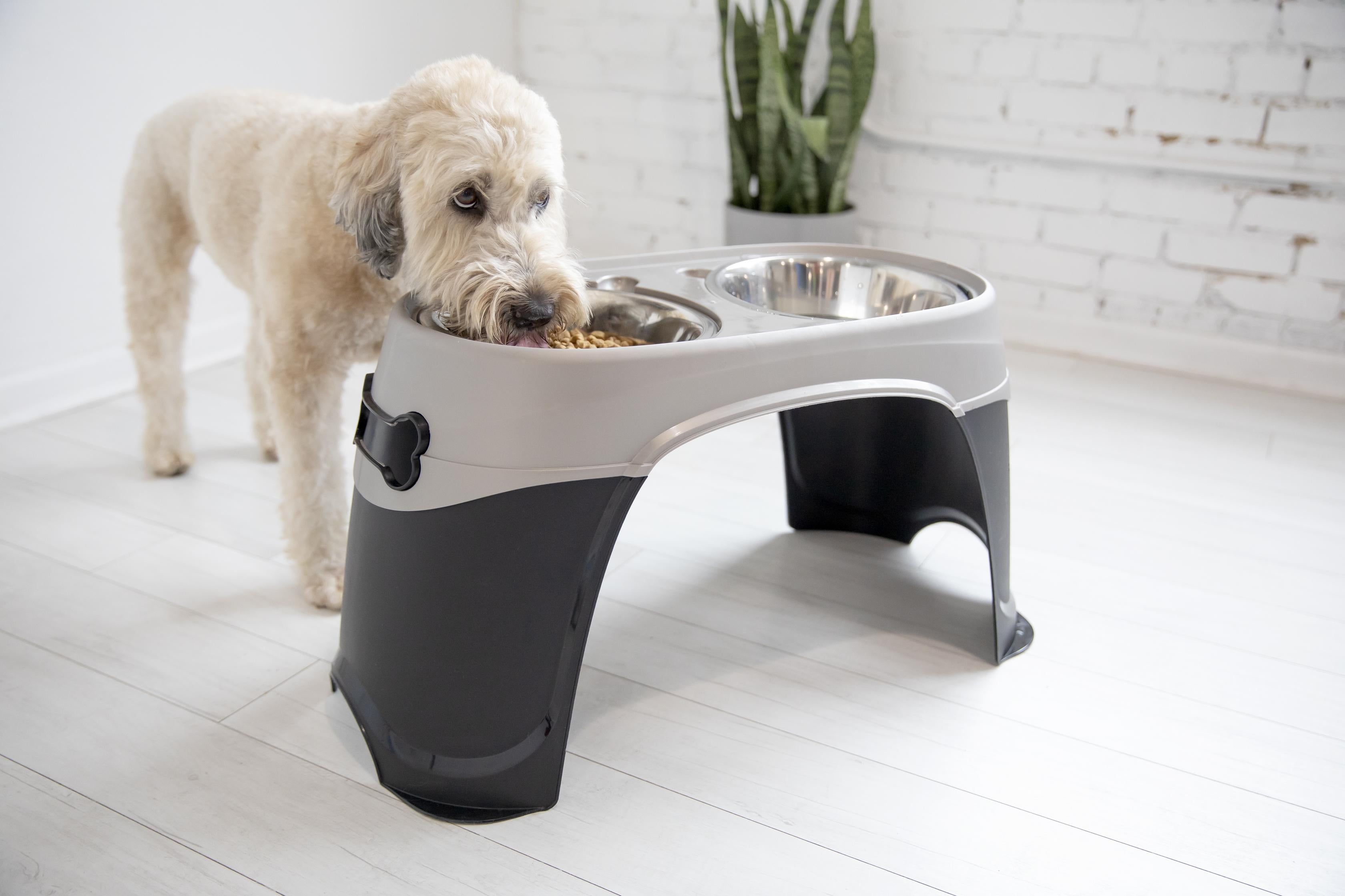 Petmate Easy Reach Diner Elevated Dog Bowl Station with 2 Stainless Steel Dog Bowls, Black, X-Large