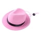 thumbnail image 2 of Sombrero de vaquer mascotas, disfraz de perro, sombreros, ropa para perros Rosa Zulema Sombrero de vaquero para mascotas, 2 of 8