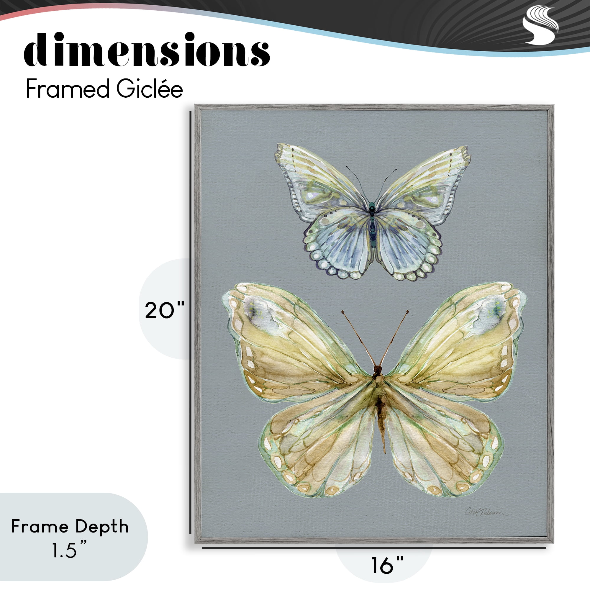 Stupell Industries Delicate Butterflies on Slate Gray Framed Giclee Art, design by Carol Robinson