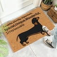 thumbnail image 5 of Coir Mat Door Mat Outdoor Mat for Entryway Outside Yard Home Decoration Door Mat - Novelty Designs Welcome Doormats Dachshund Coco Coir Outdoor Mat Natural Coir Doormat with Non-Slip Backing Sale, 5 of 5