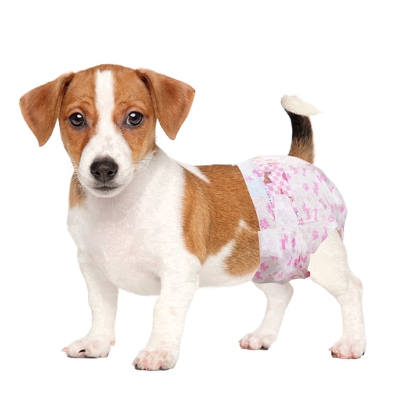 Dono Dog Diapers Female, Super-Absorbent Doggie Diapers for Female Heat, Small 38Count