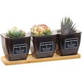 thumbnail image 1 of 3pcs Herb Pot, Indoor Herb Pot, Auto Watering Flower Pots, 1 of 4