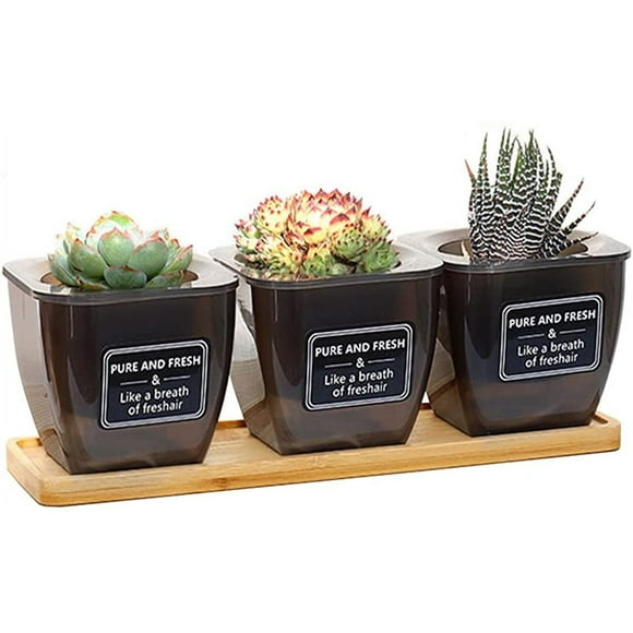 3pcs Herb Pot, Indoor Herb Pot, Auto Watering Flower Pots