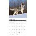 thumbnail image 3 of Siberian Huskies 2025 Wall Calendar, 3 of 4