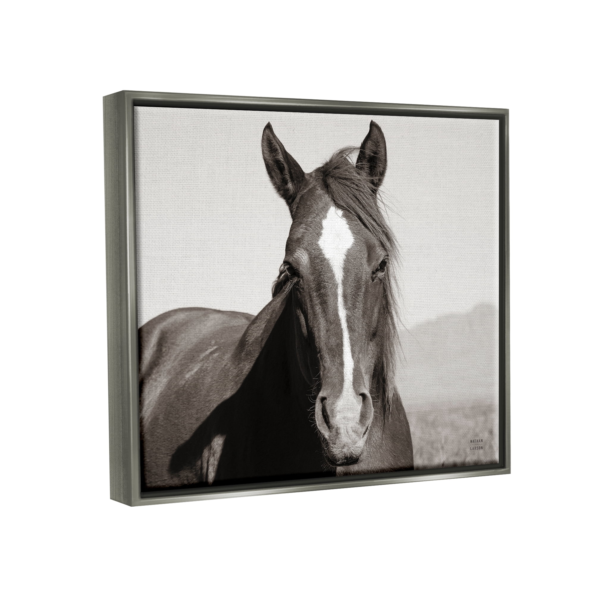 Stupell Industries Windblown Stallion Portrait Animals & Insects Photography Gray Floater Framed Art Print Wall Art, 31 x 25