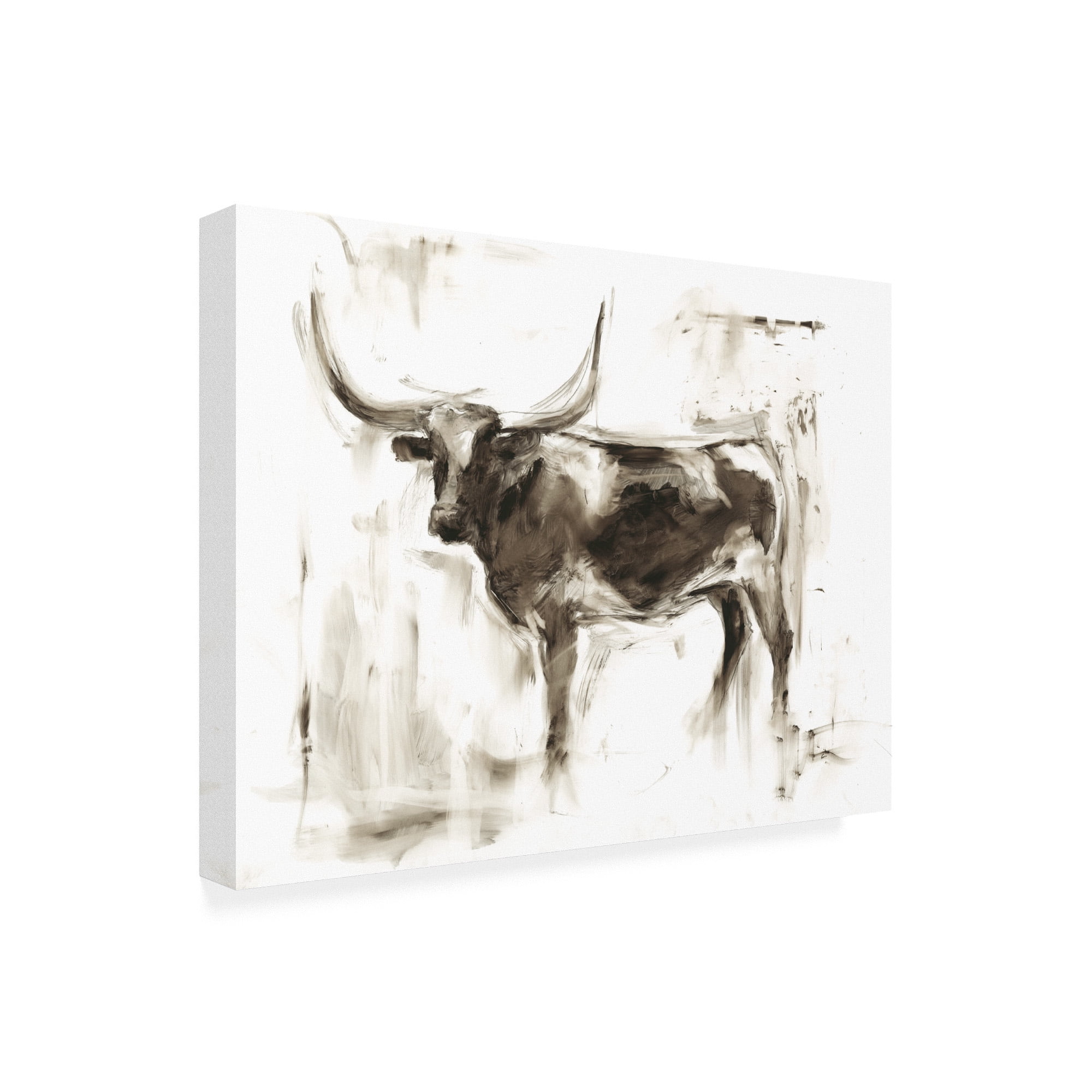 Trademark Fine Art 'Longhorn Study II' Canvas Art by Ethan Harper