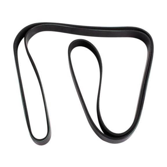 Multi Rib Belt - Compatible with 2006 - 2010 Dodge Charger 3.5L V6 2007 2008 2009