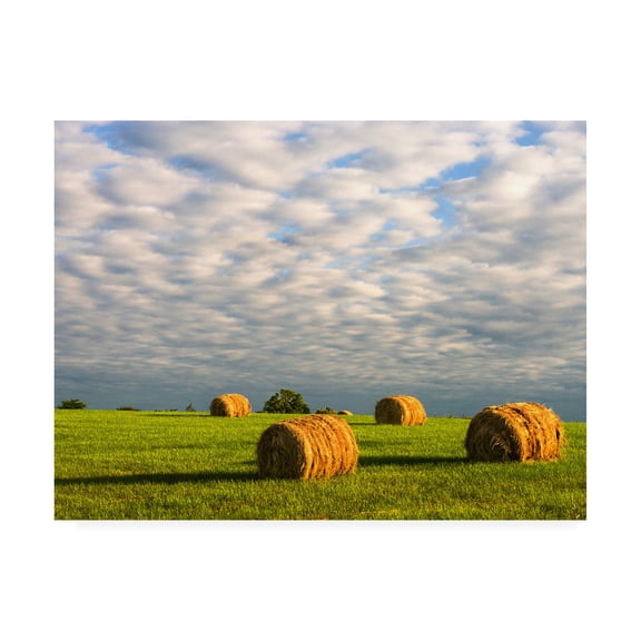 Trademark Fine Art 'Approaching Storm - Haystacks' Canvas Art by David Hammond