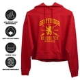 thumbnail image 4 of Harry Potter Gryffindor Quidditch Arch Women's Cropped Hoodie Pullover Sweatshirt, Red, Large, 4 of 6