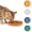 Saffron, variant on 6 Inch Round Feeding Bowl Fatigue-Free Whisker Friendly Pet Food Plate for Wet and Dry Treats for Kittens and Short-legged Cats with Non-Slip Base, White