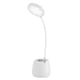 thumbnail image 1 of Lámpara De Noche LED, USB Recargable Flexible Pequeña Luz De Escritorio Protección Para Los Ojos Para Adultos Para Dormitorio Junto A La Cama, 1 of 8