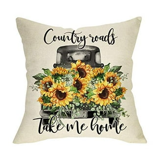 Throw pillow cheap covers walmart