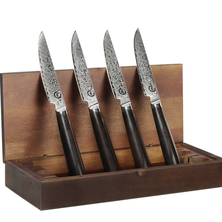 Steak knives Set of 4, Super-Sharp 5 Inch Damascus Steak Knife Set,  Japanese VG10 Core Steel 73 Layers - Non-Serrated Steak Knives with Case