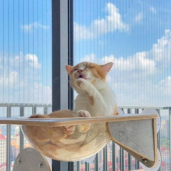 Window Cat Climbing Frame,Glass Wall Cat Climbing Wall Mounted Cat Climbing Shelf Window Cat Climbing Shelf Seamless Integration