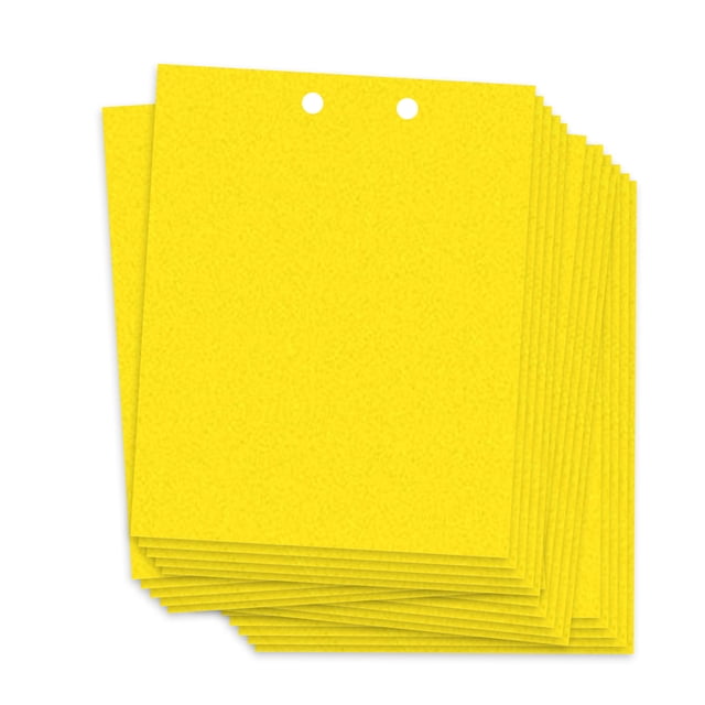 Pegatina Trampas adhesivas para mosquitos de hongos de insectos de plantas voladoras 20 piezas 20 * Tomshoo amarillo-20X25cm