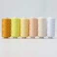 thumbnail image 1 of BUYISI 6/12Pcs/Set Multiolour Polyester Machine Embroidery Sewing Threads Hand Sewing Thread Craft Sewing Supplies C, 1 of 5