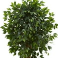 thumbnail image 3 of Nearly Natural 5.5' Ficus Artificial Tree, 3 of 7