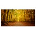 thumbnail image 2 of Pathway dans la Forêt d'Automne Verte - Impression sur Toile de Photographie, 2 of 3