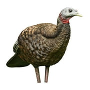Avian-X Breeder Lifelike Collapsible Decoy Folding Hen Turkey Hunting Decoy