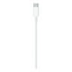 thumbnail image 3 of Apple Cable USB C Macho-Lightning Macho, 2 Metros, Blanco blanco, 3 of 3