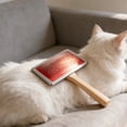 thumbnail image 2 of Pet Hair Brush for Dogs and Cats, Dog Grooming Brush with Wooden Handle, Medium Sized Slicker Brush, Steel Bristles, Deep Cleaning, Removes Loose Undercoat, Red, 4.5 x 3.5 x 1.8 in / 11.5x9x4.5cm, 2 of 8