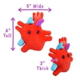thumbnail image 4 of Órgano de corazón de felpa con diseño anatómico de microbios gigantes, 6 cm, 4 of 9
