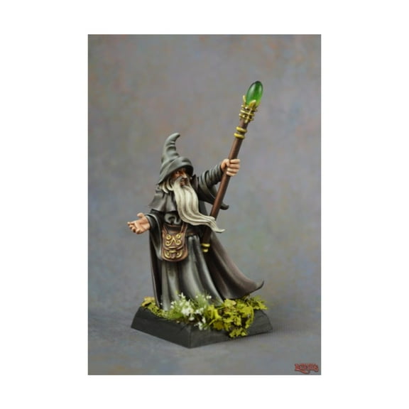 Arakus Landarzad Wizard Miniature 25mm Heroic Scale Dark Heaven Legends Reaper Miniatures