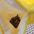 thumbnail image 4 of WDOplteas Hamacas para Pequeños Cálido Felpa Litera Escondite para Cristal (Amarillo S), 4 of 9