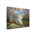 thumbnail image 4 of Canvas Wall Art - John Bradley 'Perfect View' Wall Art for Living Room, Bedroom, or Office Décor by Trademark Fine Art - 24 x 18 Inches, 4 of 4
