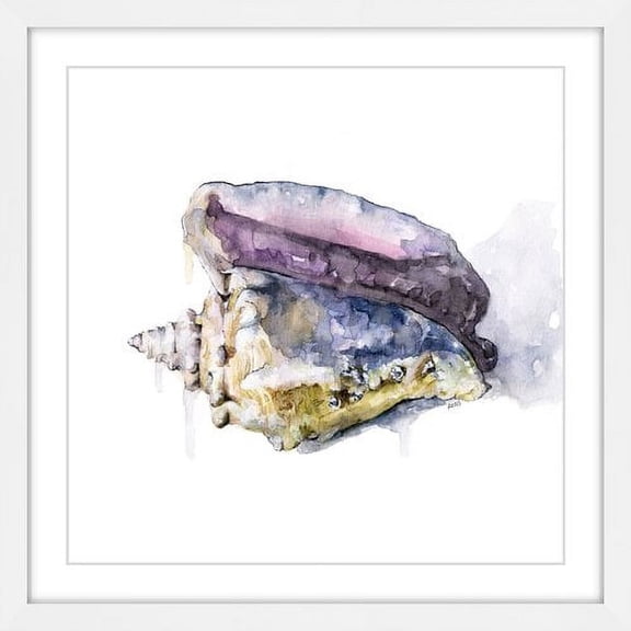 Marmont Hill "Tidal Conch" by Rachel Byler Framed Painting Print