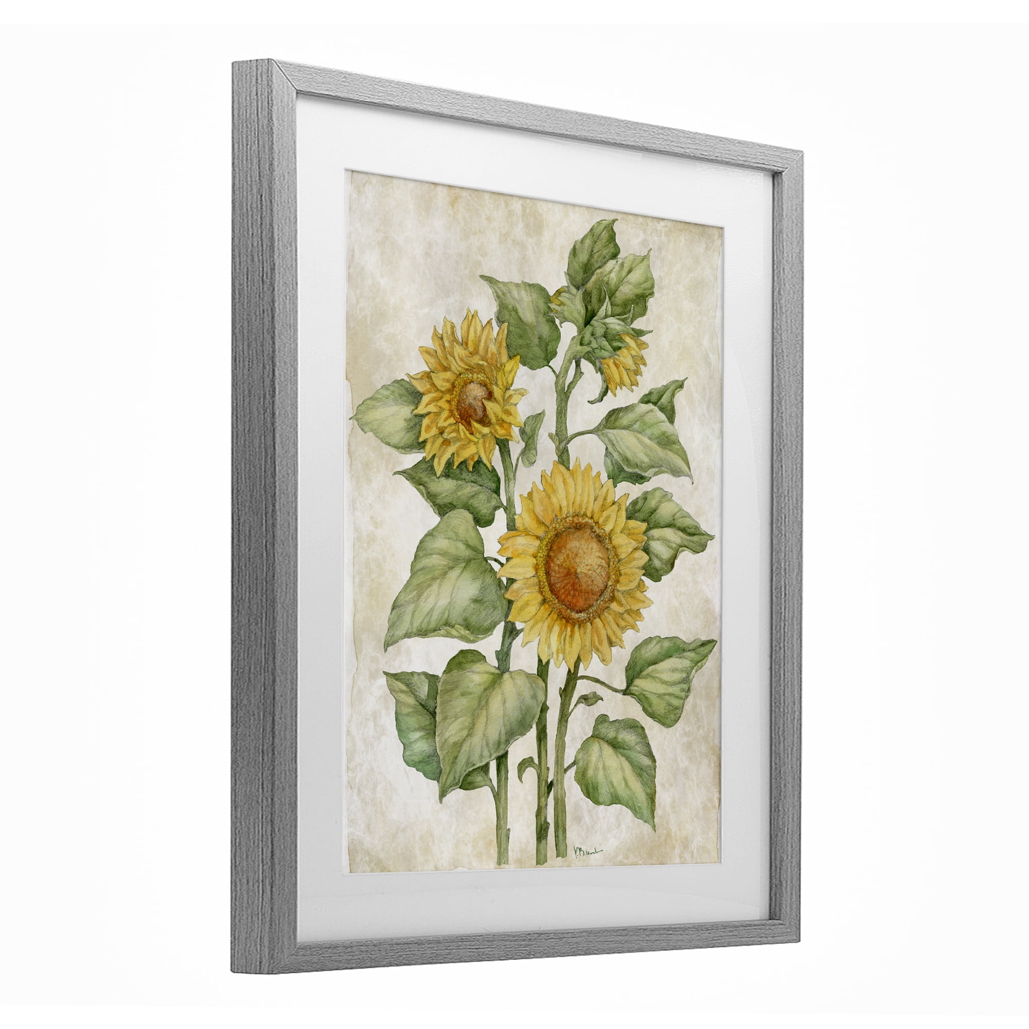Stupell Industries Floral Journal Sunflower Gray Framed Print Under Glass, design by Paul Brent