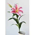 thumbnail image 4 of 35" Faux Pink and White Lily Stem, 4 of 5