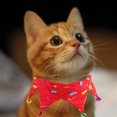 thumbnail image 3 of Christmas Pet Collar With Bell Adjustable Dog And Cat Collar Accessories, 3 of 7