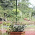 thumbnail image 4 of CNKOO Spiral Plant Support Frame - Multi-circle Stretchable Flower Climbing Rack for Growth Promotion (Gardening Tools), 4 of 8