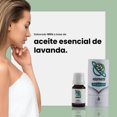 thumbnail image 4 of Aceites Esenciales 10ml NATUREVERSE Variedad Aromas Lavanda aceites aromaterapia, 4 of 7