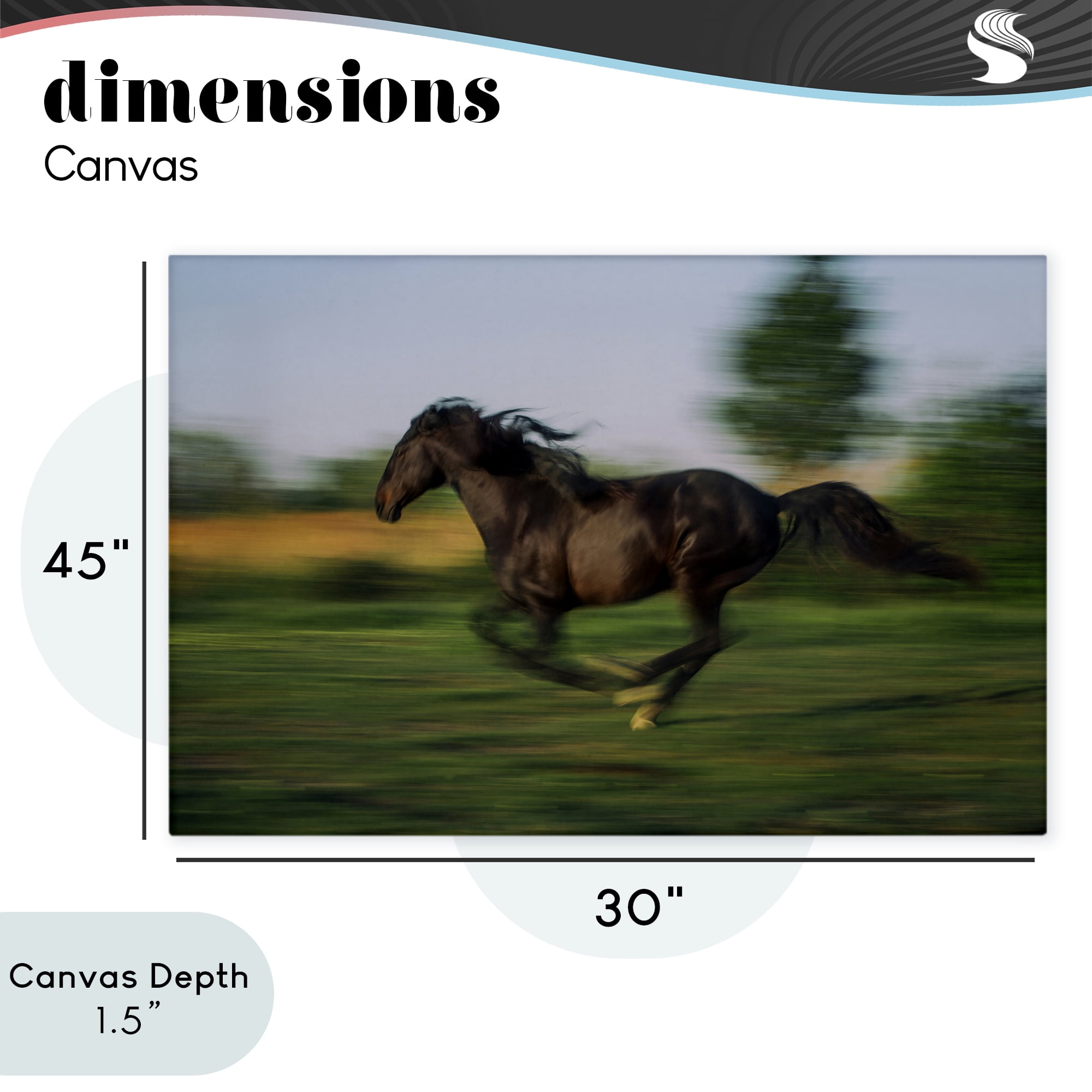 Stupell Industries Dashing Camargue Racehorse Canvas Wall Art, design by Scott Stulberg