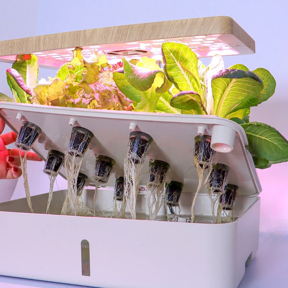 hydroponic home food gardens