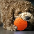 Xinwennn Dog Squeaky Balls Toys For Aggressive Chewers Large Breed xinwennn-dog-squeaky-balls-toys-for-aggressive-chewers-large-breed