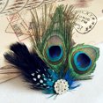 thumbnail image 4 of tredstone Plume Femmes Clip de Remplacement de Cheveux Filles Fascinator Ornement, 4 of 6