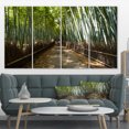 thumbnail image 1 of Grand Allée dans la Forêt de Bambou - Impression sur Toile, 1 of 3