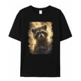 thumbnail image 5 of T Shirts for Women Short Sleeve Cotton Crewneck T-Shirt, Dreamlike Sky Clouds Raccoon Tee Tops Casual Basic T-Shirts, XS-5XL Black XXL, 5 of 7