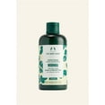 thumbnail image 1 of The Body Shop Moringa Radiance Protective Conditioner 250ml, 1 of 5