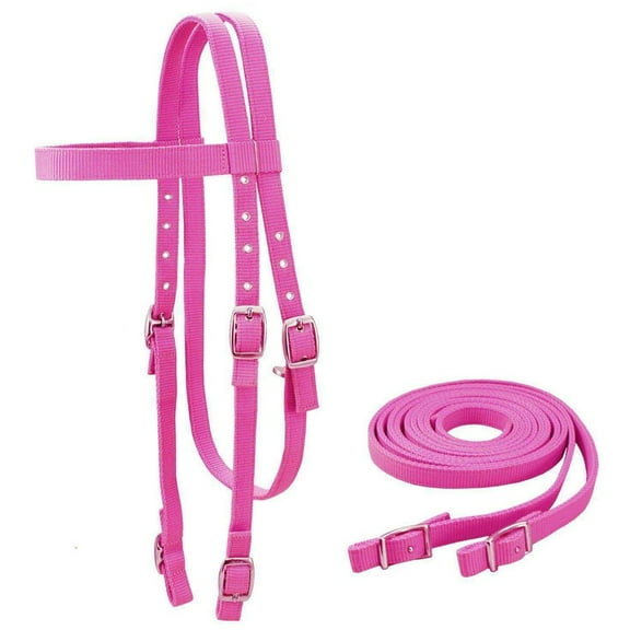 Tahoe Tack Double Layered Nylon Western Headstall with Matching Split Reins