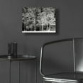 thumbnail image 5 of Epic Art 'Snowy Trees' by Lori Deiter Acrylic Glass Wall Art, 16"x12", 5 of 8