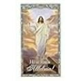 thumbnail image 4 of He is Risen Alleluia! Holy Prayer Card, Pack of 100, 4 of 4