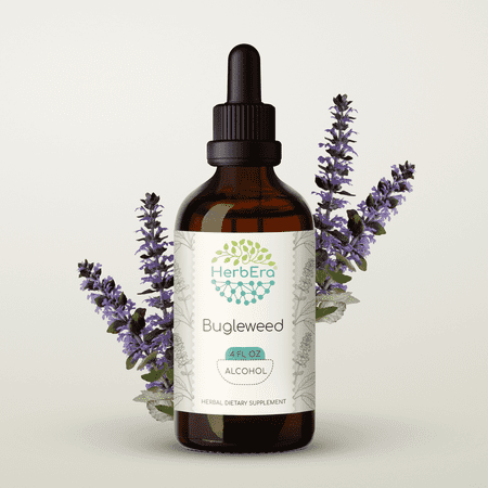 HerbEra Bugleweed Tincture, Herbal Dietary Supplement for Hormonal Balance Support, Bugleweed (Lycopus virginicus) Dried Herb Extract, Natural, Alcohol Tincture, Drops 4 oz