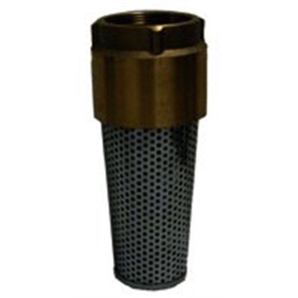 Foot Valve, 1" Ips Brass Nl