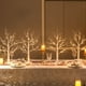 thumbnail image 1 of Decoraciones para árboles de Navidad en forma de abedul blanco con luz LED de 2 pies, 1 of 9