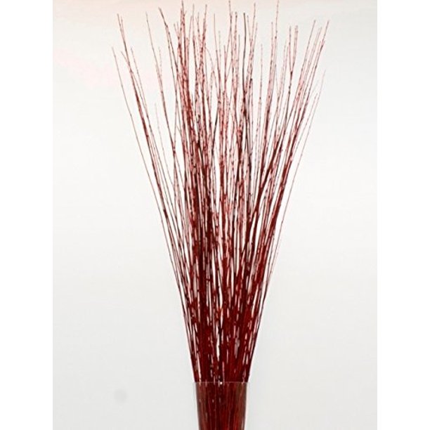 Green Floral Craft 6070 Stem Dried Asian Willow Decorative Branches